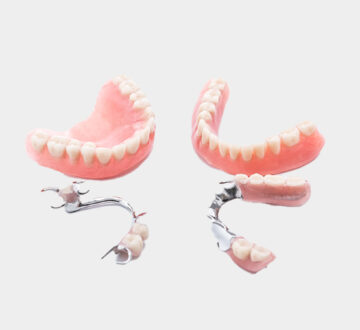 Dog Chewed Your Denture? Here’s What to Do Next
